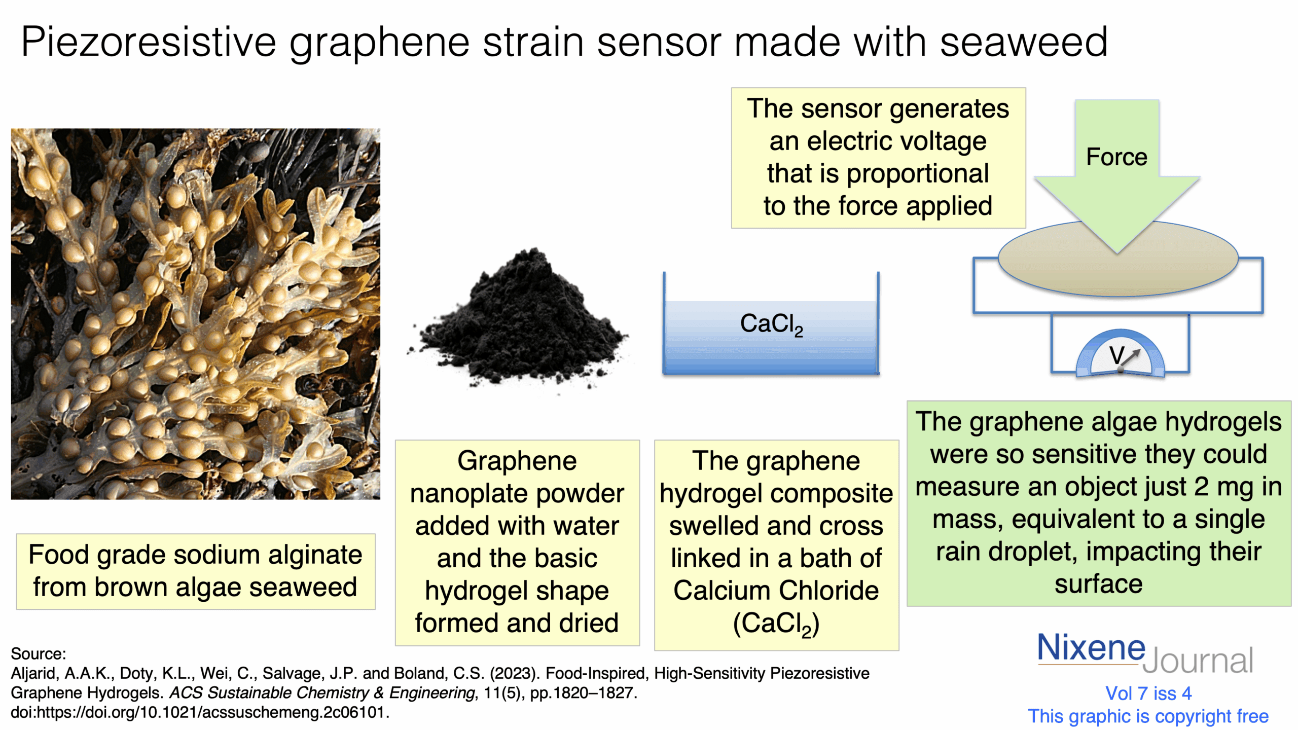v720i420Piezoresistive20graphene20strain20sensor20made20with20seaweed.png