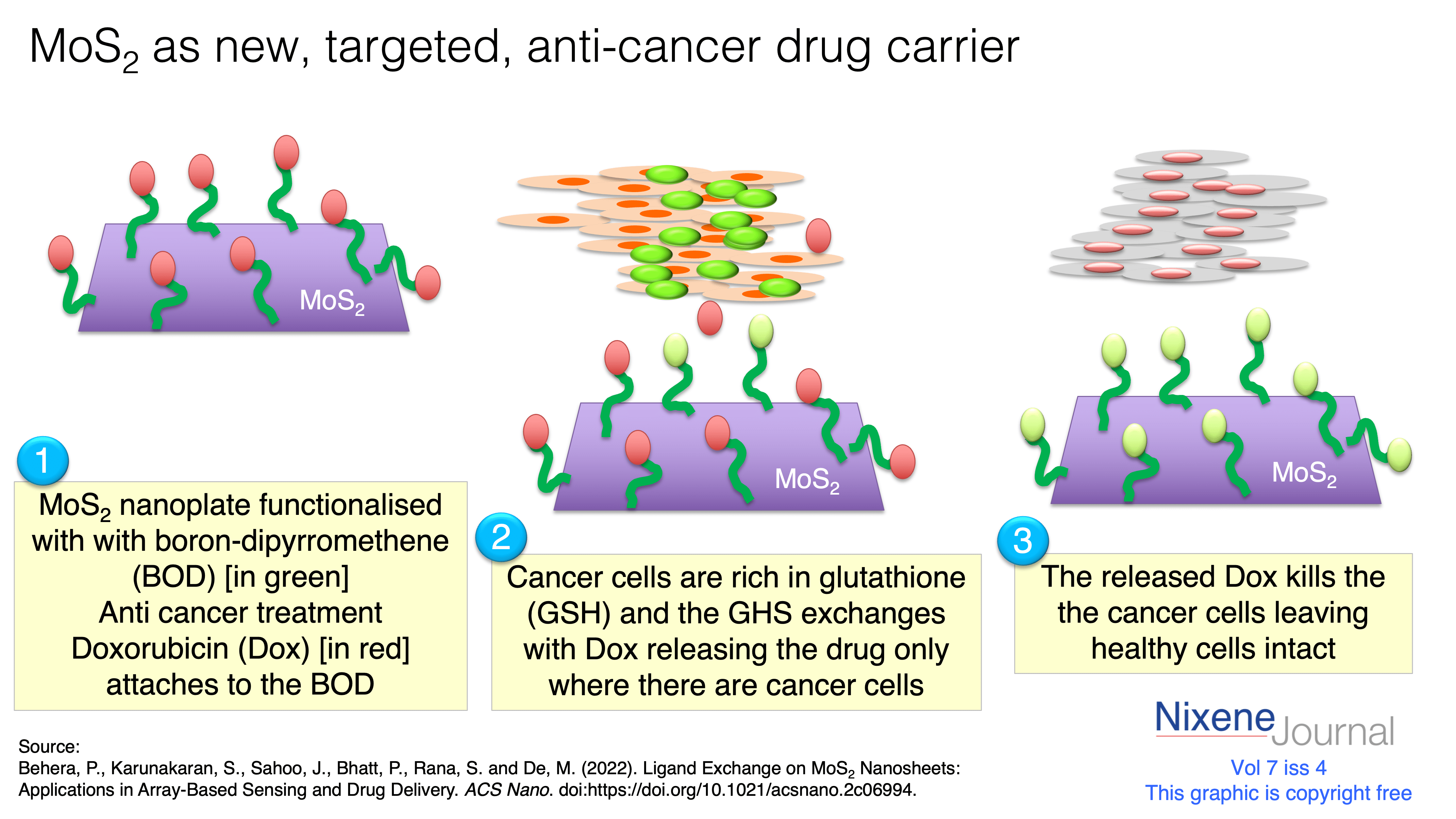 v720i420MoS220anti20cancer20drug20delivery.png
