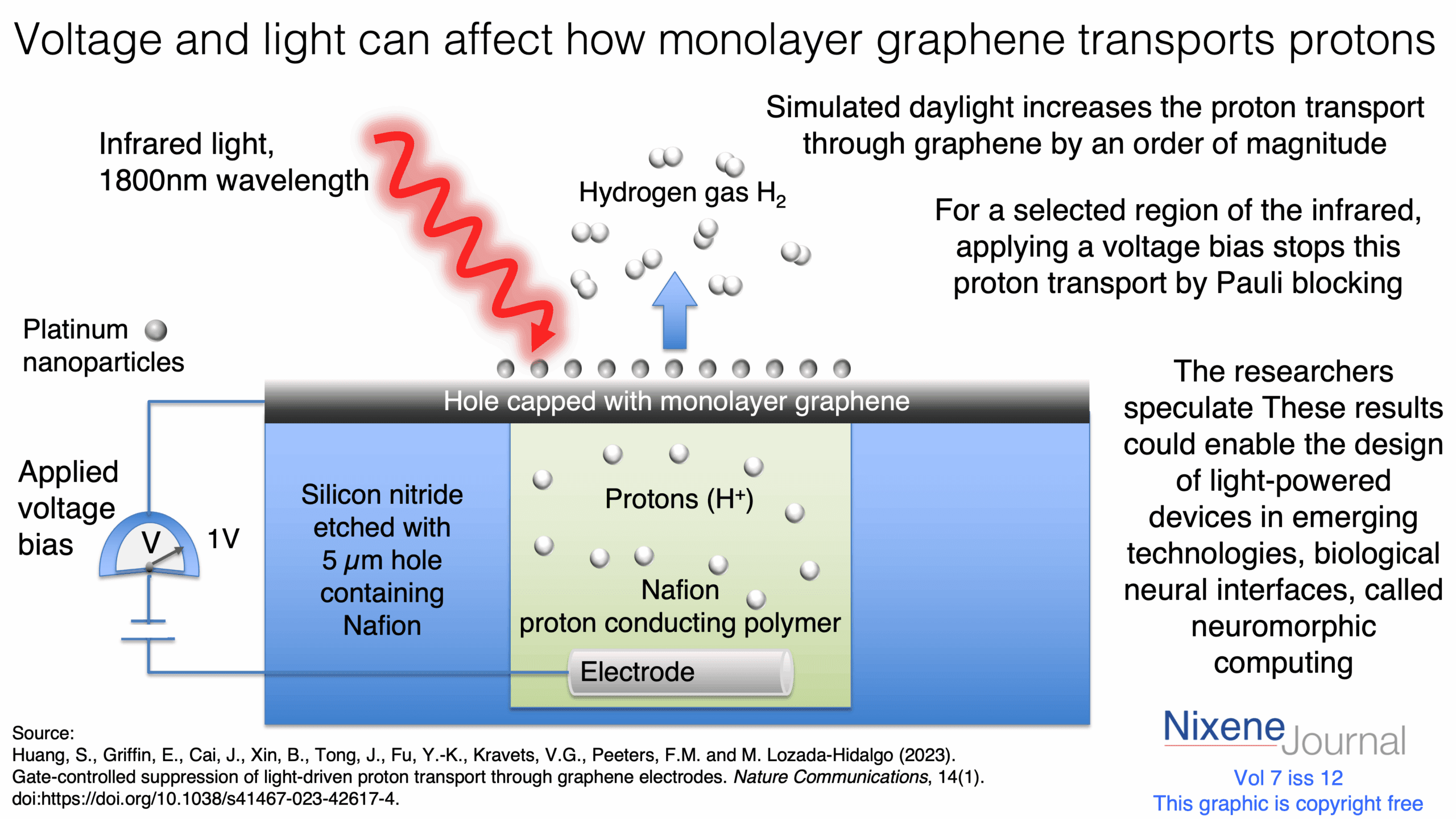 v720i1220Voltage20and20light20can20affect20how20monolayer20graphene20transports20protons.png