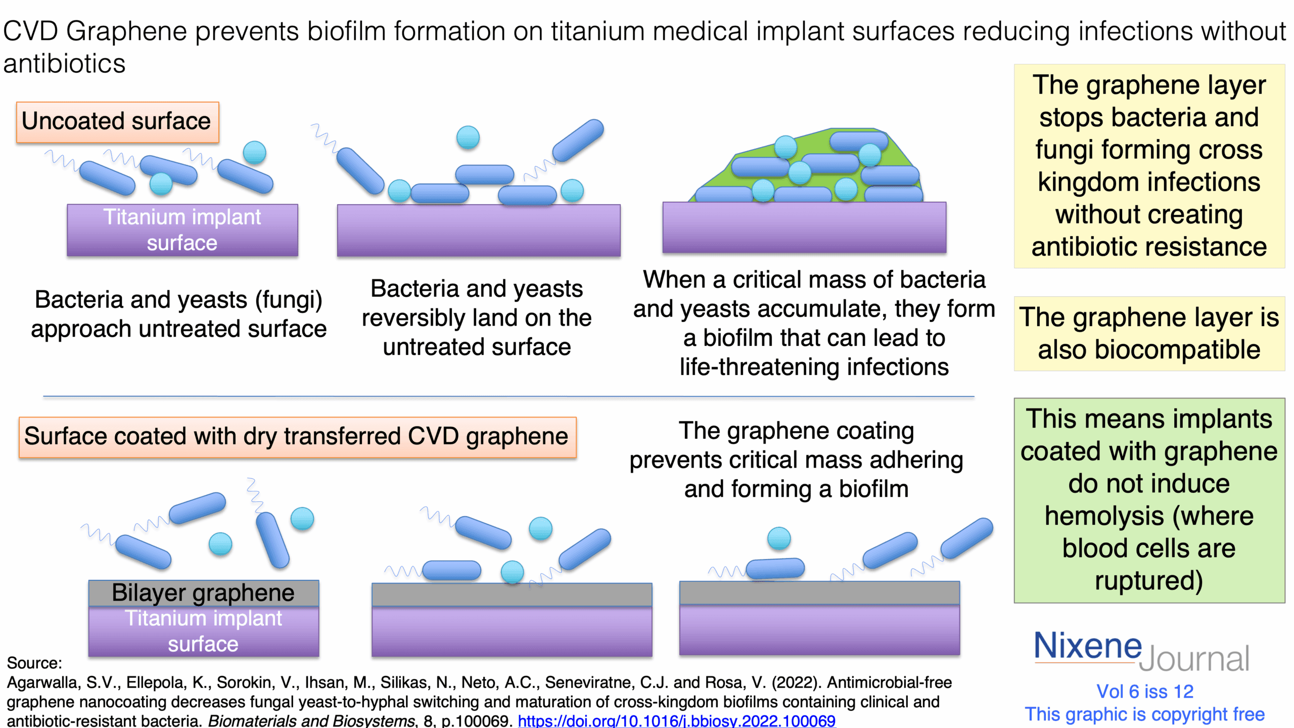 v620i1220CVD20Graphene20prevents20biofilm20formation20on20titanium20medical20implant20surfaces20reducing20infections20without20antibiotics.png
