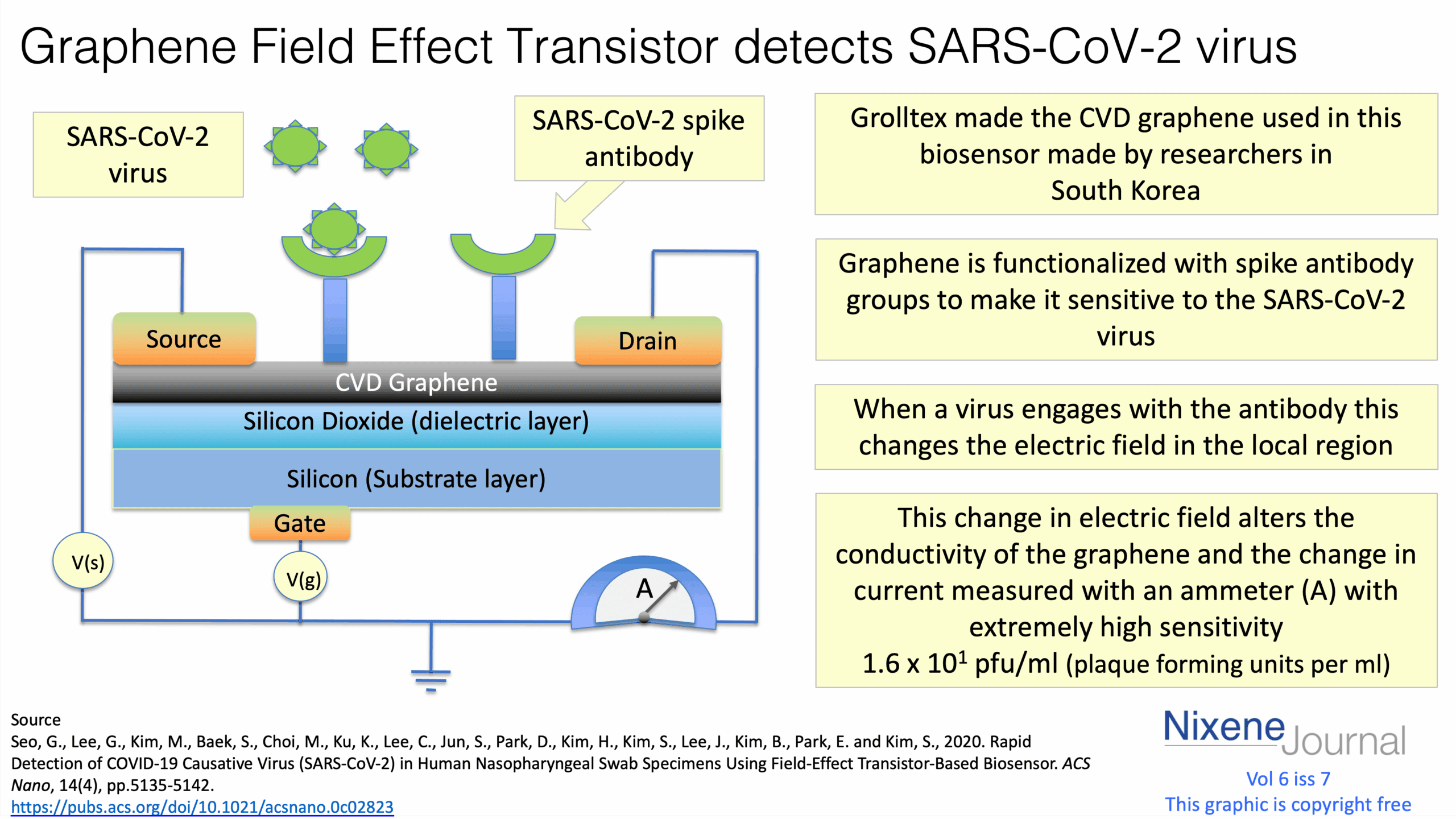 v620i720Graphene20Field20Effect20Transistor20detects20SARS-CoV-220virus.png