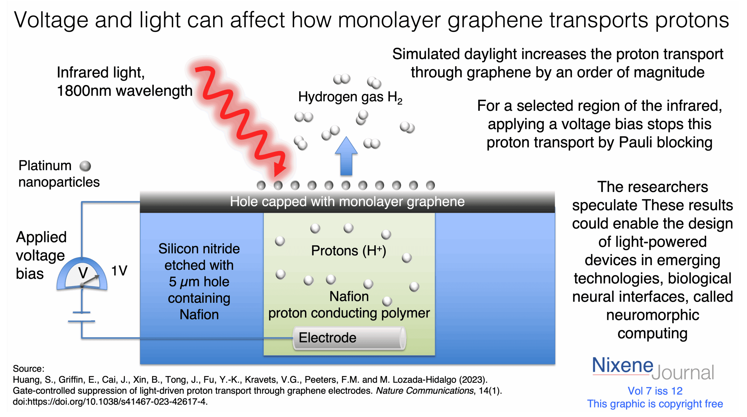 v720i122020Voltage20and20light20can20affect20how20monolayer20graphene20transports20protons.png