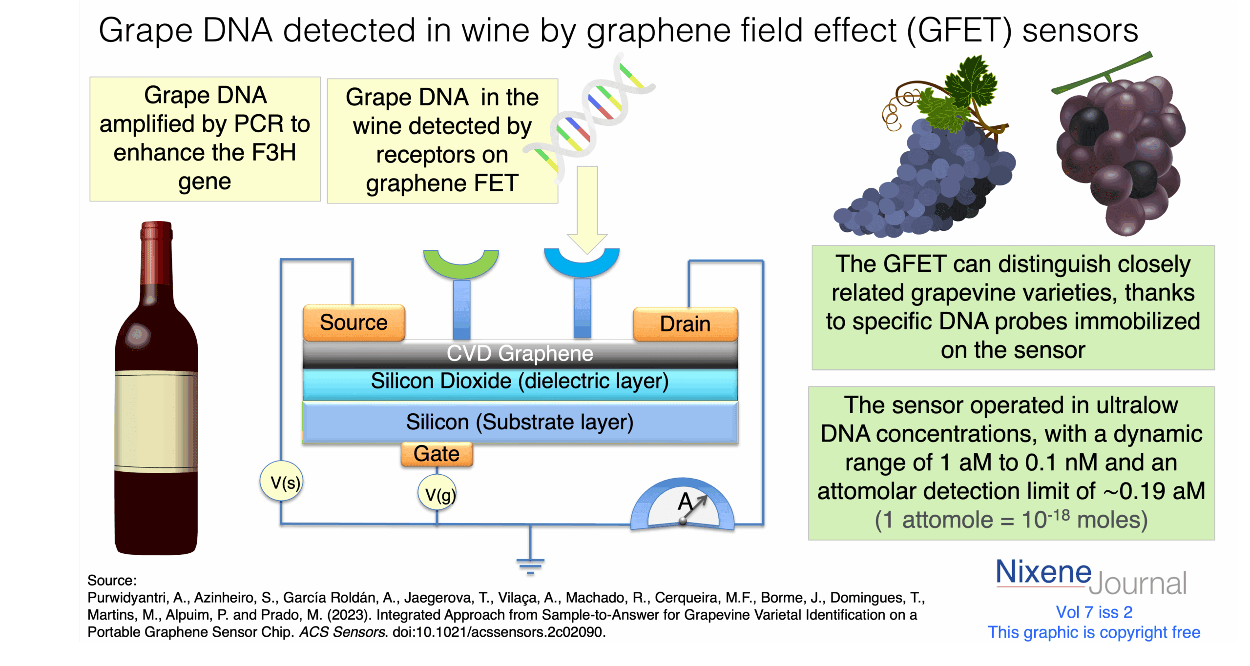 v720i220Wine20analysed20with20graphene20field20effect20transistor20GFET20sensor.png