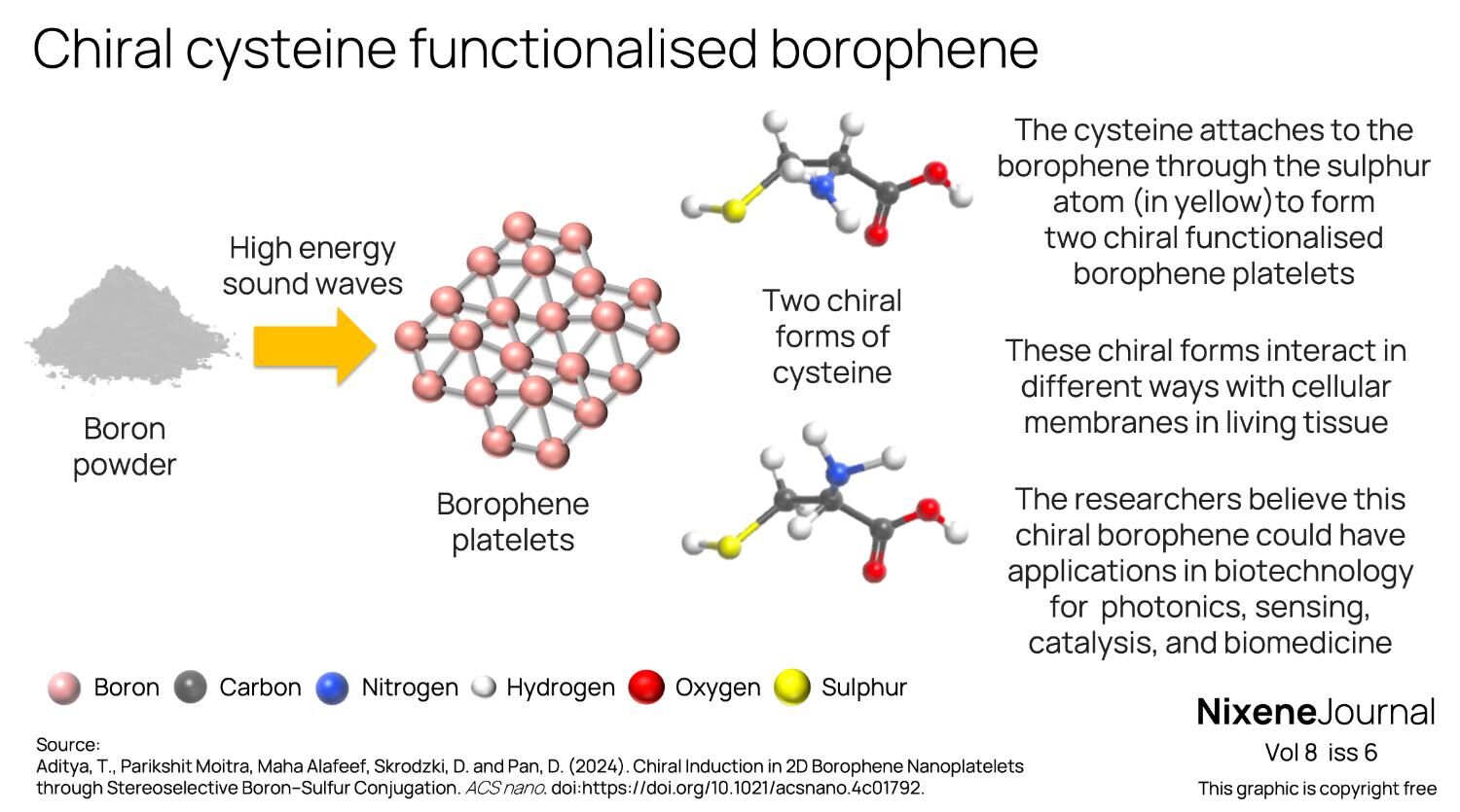 v8 i6 Chiral cysteine functionalised borophene