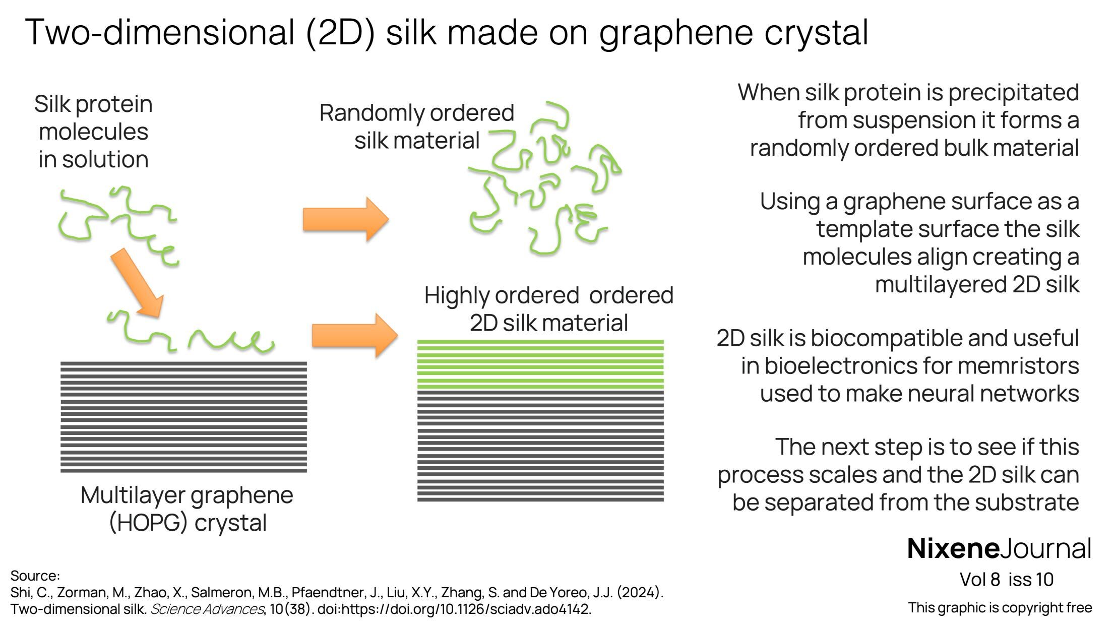 v8 i10 2D silk made on graphene