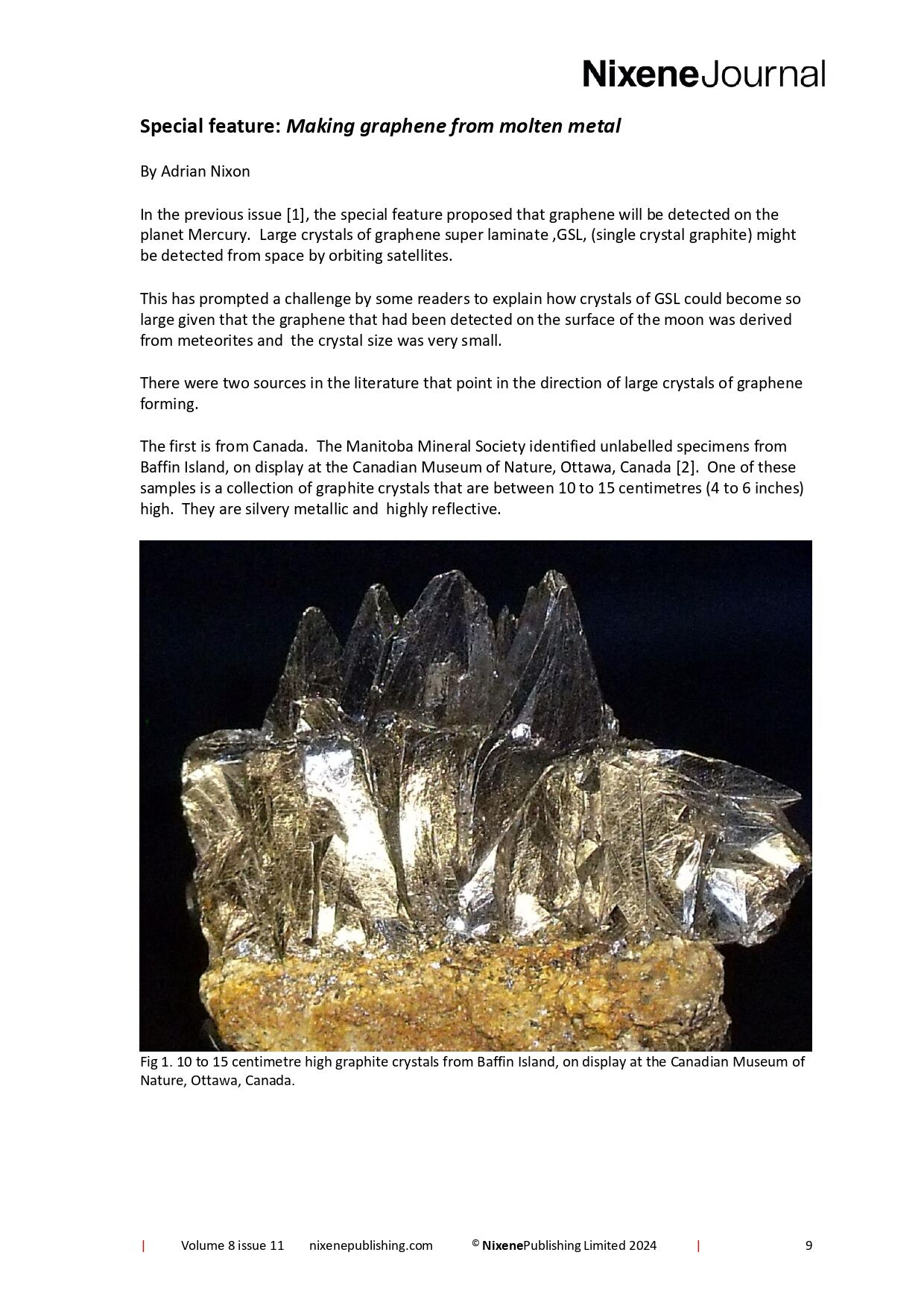 Nixene Journal Volume 8 Issue 11 Special Feature_1 (November 2024)_page-0001