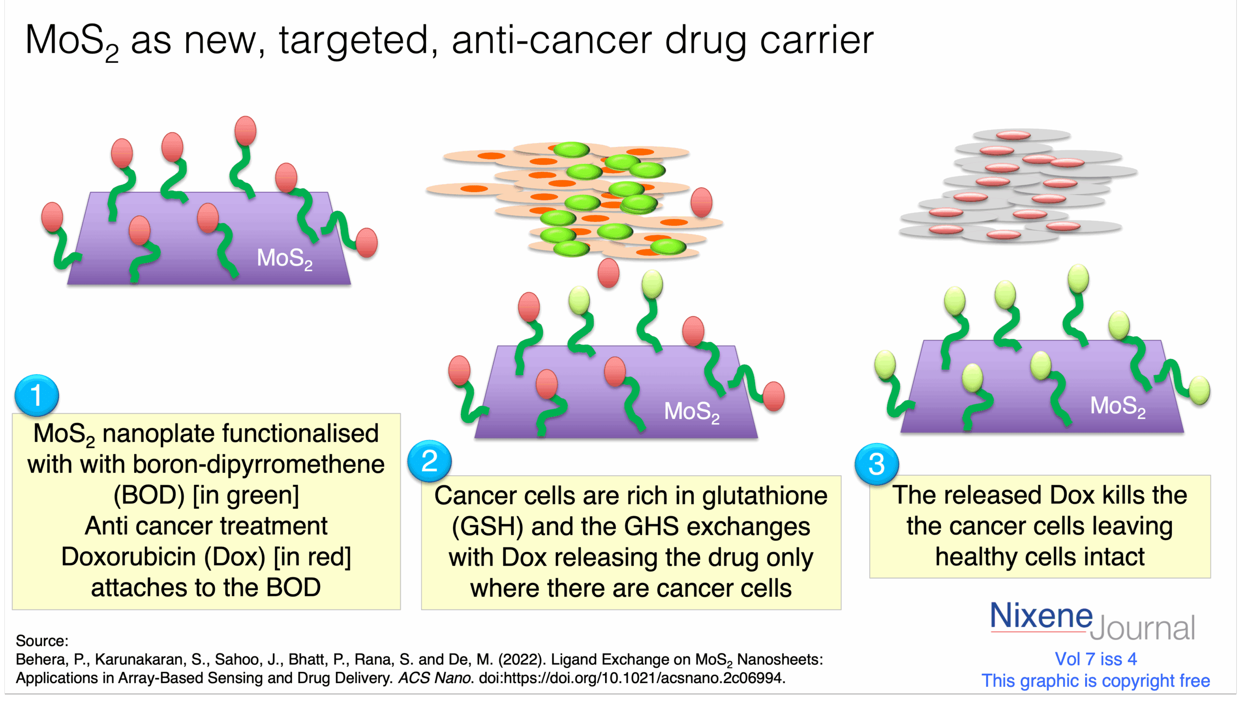 v720i420MoS220anti20cancer20drug20delivery.png